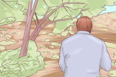 How to Catch Yellow Perch