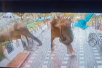 Elephant Enters Kerala Home, Tramples Man To Death; Locals Stage Protest