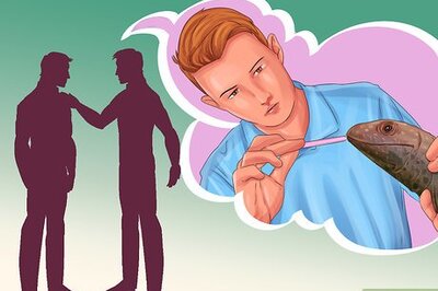 How to Find an Exotic Animal Vet