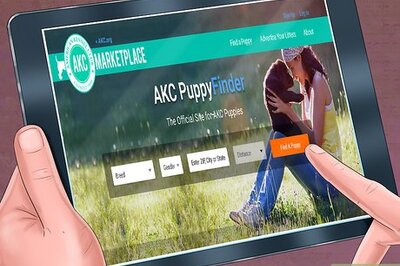 How to Find an AKC Puppy