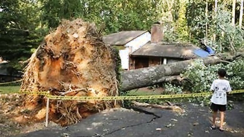 Eastern US storms kill 12; millions lose power