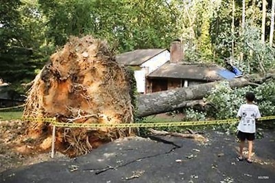Eastern US storms kill 12; millions lose power