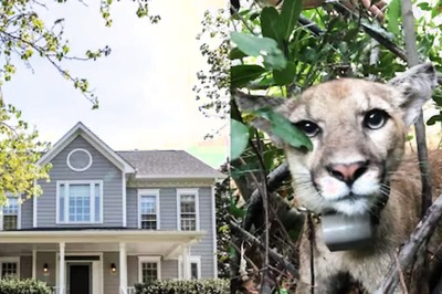 California Woman Heard Strange Noises From Home, Then She Discovers This