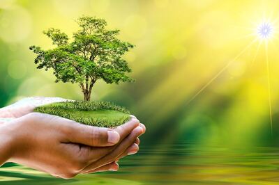 Earth Day 2021: This Earth Day, Pledge to Save the Planet by Doing These Little Things