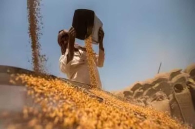 No Plan to Lift Export Restrictions on Wheat, Rice, Sugar As Of Now, Says Piyush Goyal