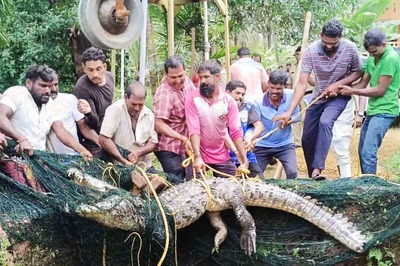 In Udupi, Locals And Officials Join Forces To Rescue Crocodile From Well