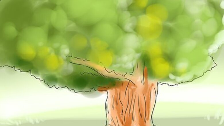 How to Prepare a Wood Stave for Making a Bow