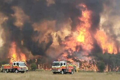 Australia's Apocalyptic Wildfires: Here's What You Need to Know