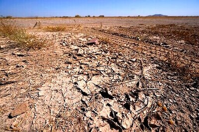 World Soil Day 2020: Significance, Date, and Theme