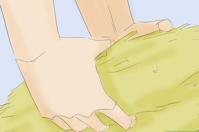 How to Muck Out a Stall