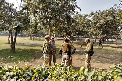 Properly Designed and Maintained Outdoor Green Space Can Reduce Violent Crime in Cities, Says Study