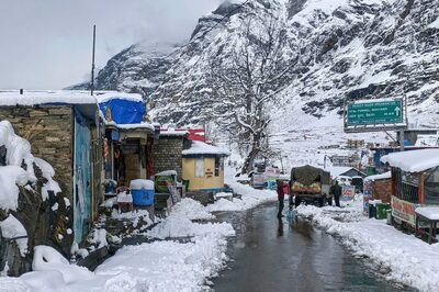 Snowfall, Rain Continue to Lash Uttarakhand, Bring Cheer to Apple Growers