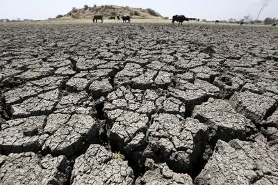 Rajasthan Declares 1,388 Villages in 4 Districts 'Drought-affected'