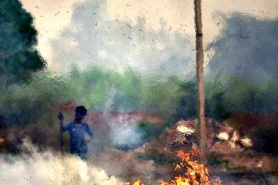 Over 870 FIRs Filed In Stubble Burning Cases In A Month: Punjab Police