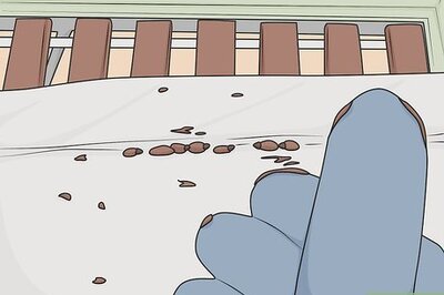 How to Check a Hotel Room for Bed Bugs