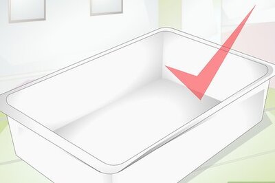 How to Take Care of a Baby Tortoise