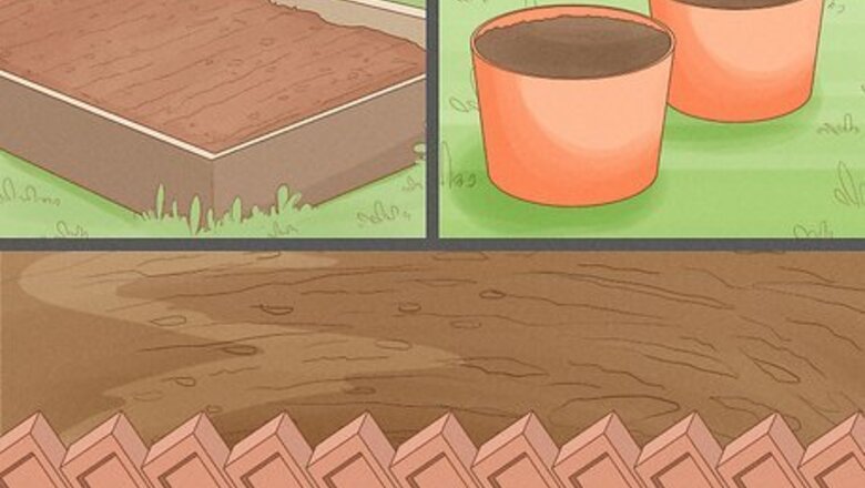 How to Grow Vegetables