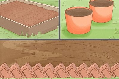 How to Grow Vegetables