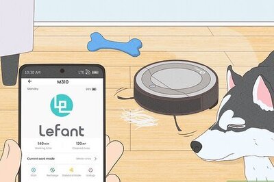 10 Tips to Keep Your Floors Clean with Dogs