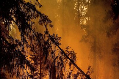 Wildfire Levels Historic California Town as Residents Flee Blaze