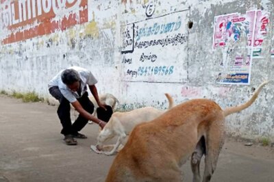 This Tamil Nadu Man Has Been Feeding Stray Dogs Since 30 Years, Know His Inspiring Story