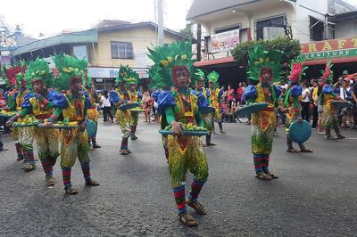 National Mango Day 2021: You Will Find World's Sweetest Mango in Philippines