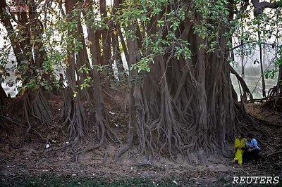 500-year-old banyan tree gets tourist spot status in Odisha