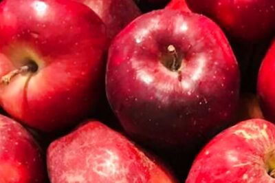 West Bengal Man Comes to Delhi to Buy Apples, Gets Kidnapped By Friend For Rs 3 Lakh