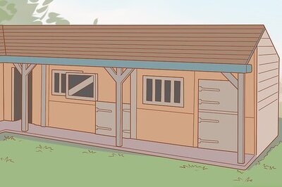 How to Care for a Pregnant Mare