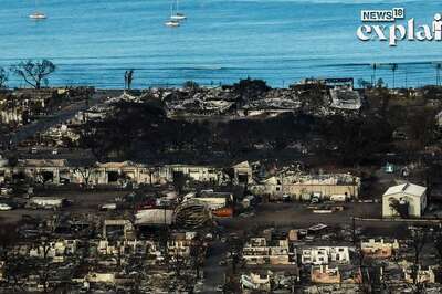 Why Was There No Water to Fight Hawaii Wildfire & Maui's Long Battle Over Resources | Explained