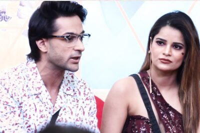 Bigg Boss 16 Day 129 Highlights: Shalin Bhanot Explains Sudden Change in Attitude After Tina Datta's Exit