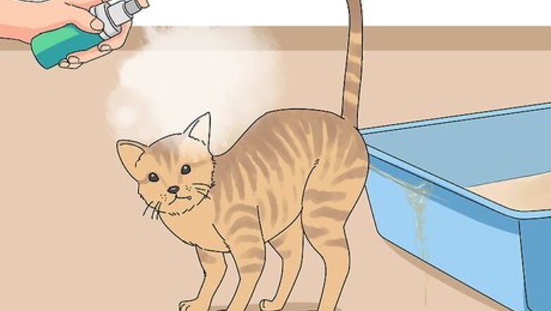 How to Treat Cat Behavioral Problems Using Pheromones