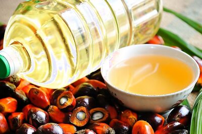 Palm Oil in Your Diet: Understanding its Role and Benefits