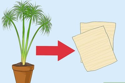 How to Make Papyrus