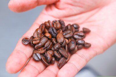 How to Make Perfect Coffee