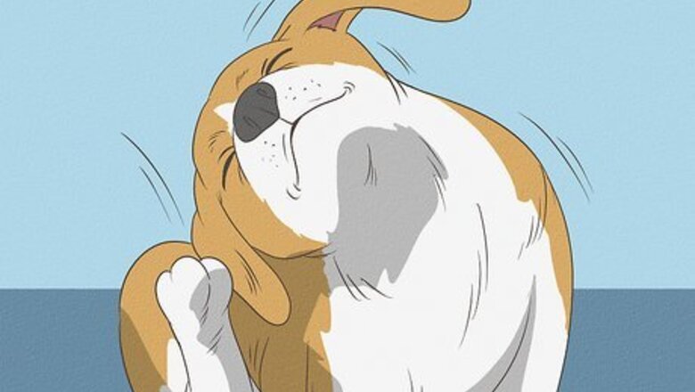 How to Diagnose Canine Ear Infections