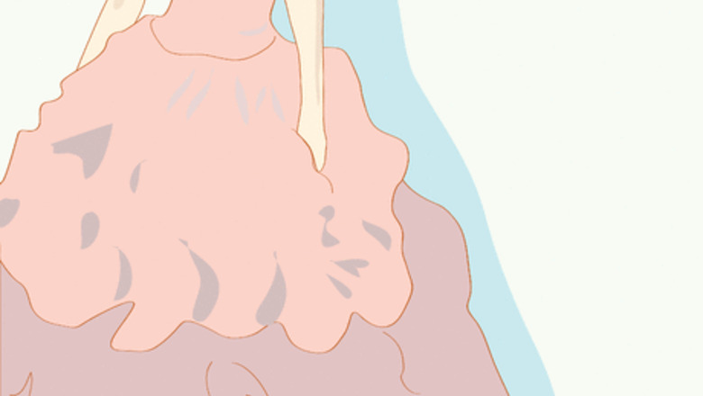 How to Create a Marie Antoinette Costume