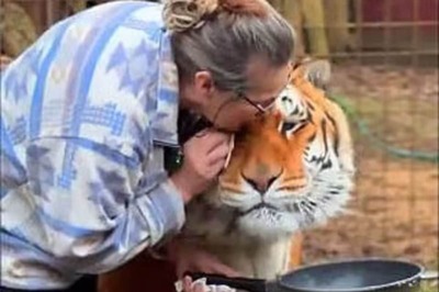 Watch: Elderly Woman’s Love For Her Pet Tiger Leaves Internet Speechless