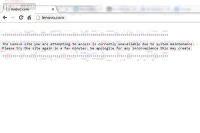 Lizard Squad hacking group defaces Lenovo website with goofy webcam selfies of teen