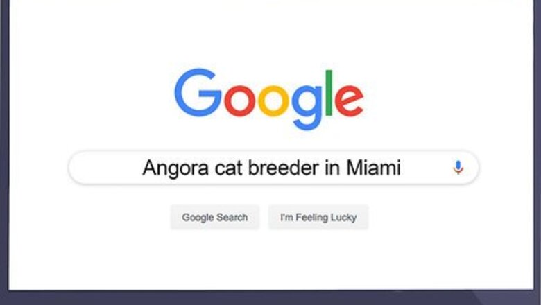 How to Raise Angora Cats
