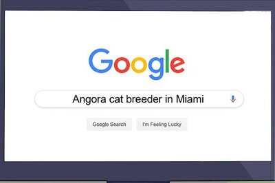 How to Raise Angora Cats