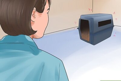 How to Teach Your Dog to Love the Crate