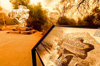 California Wildfires Threaten Famous Giant Sequoia Trees