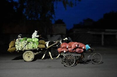 Magician Forced to Sell Vegetables in Dingy Lanes of Rajasthan Amid Covid-19 Lockdown