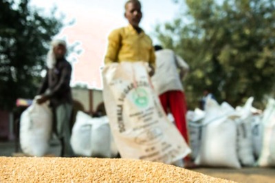 Govt Raises Bid Quantity to 200 Tonnes Under OMSS to Stabilise Wheat, Flour Prices
