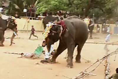 Kerala temple starts school to train mahouts