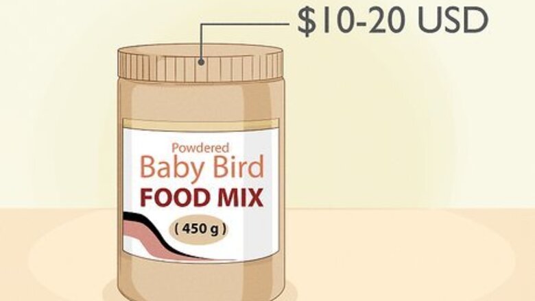 Feeding Baby Budgies: Step-by-Step Guide