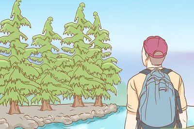 How to Survive in the Woods