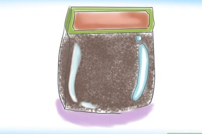 How to Grow Butterfly Weed