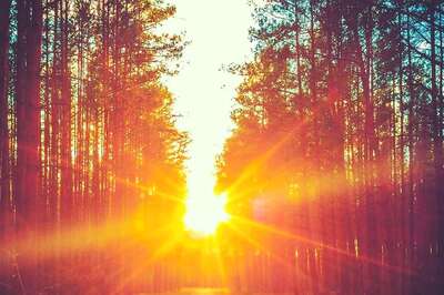 Aaj Ka Panchang, October 2, 2024: Tithi, Vrat, Shubh and Ashubh Muhurat